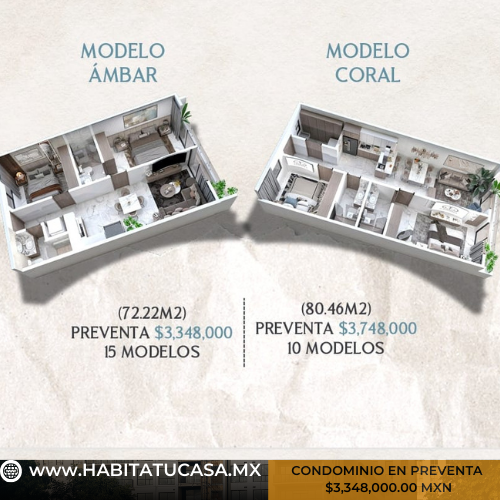 Imagen 3 de 5