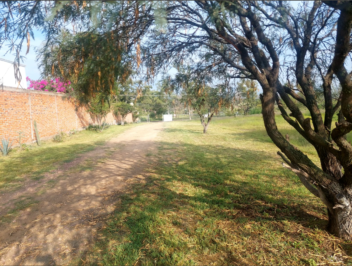 7 de 18