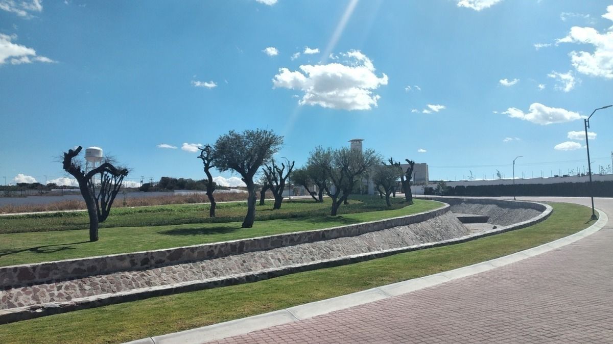 3 de 7