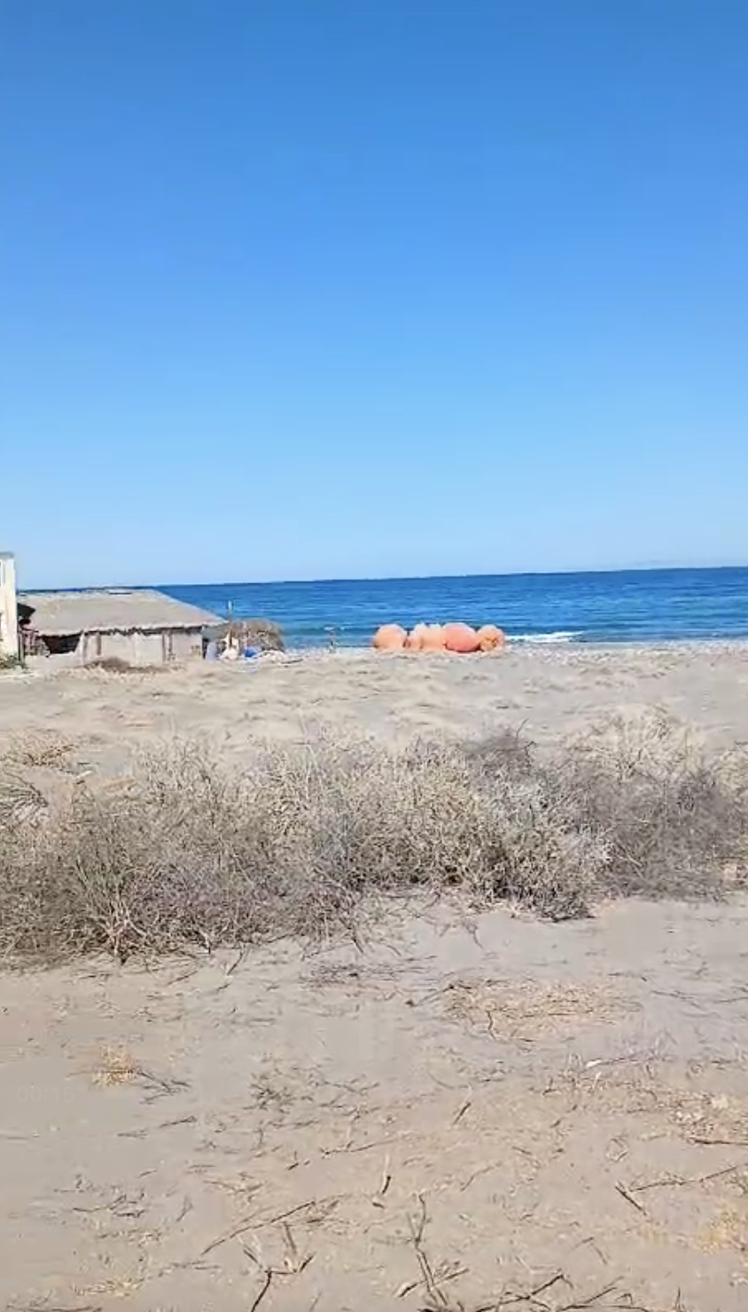 3 of 11