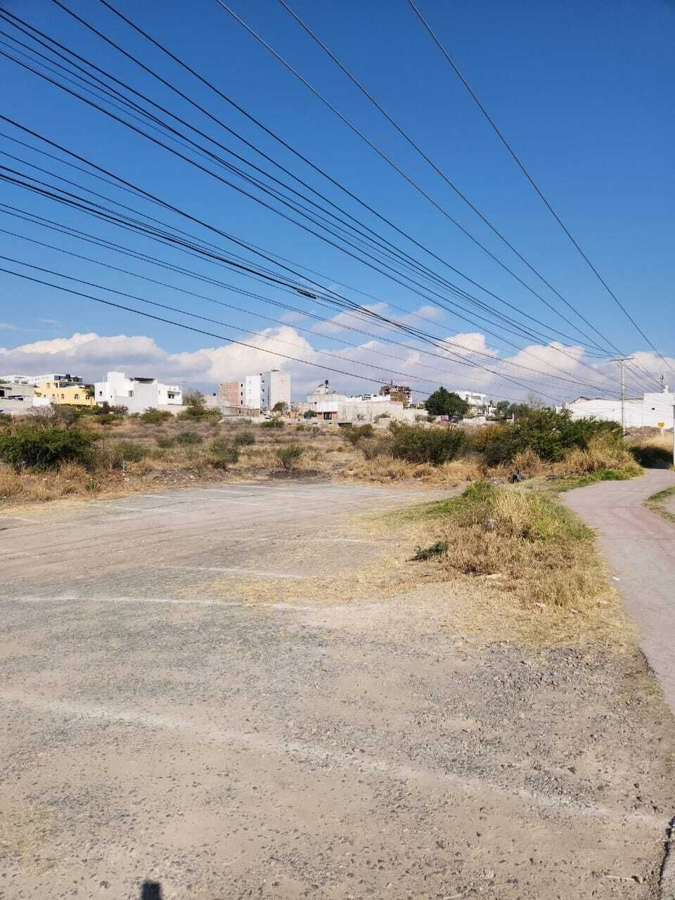 3 de 6