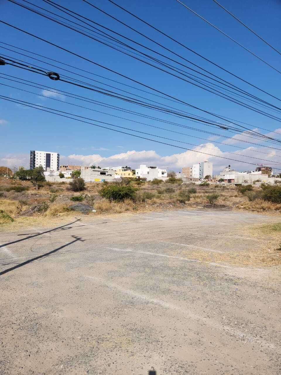 4 de 6