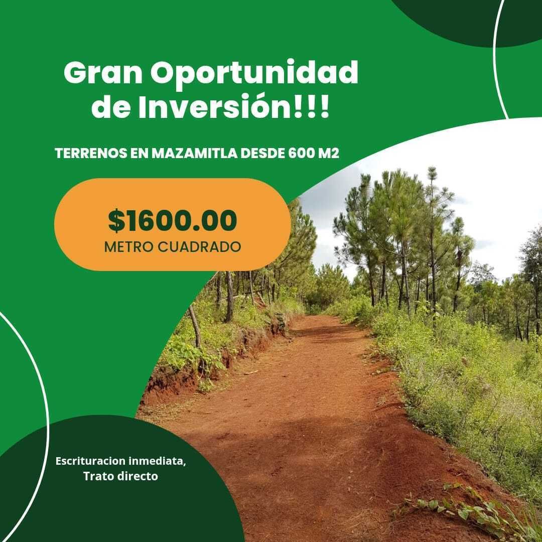 1 de 6