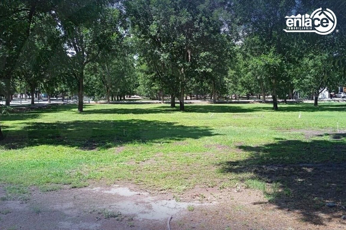 3 de 11