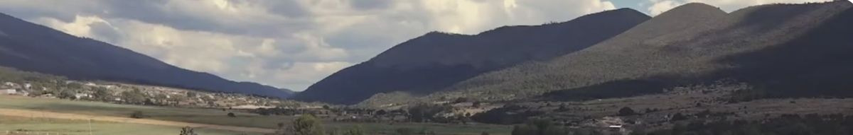 4 de 4