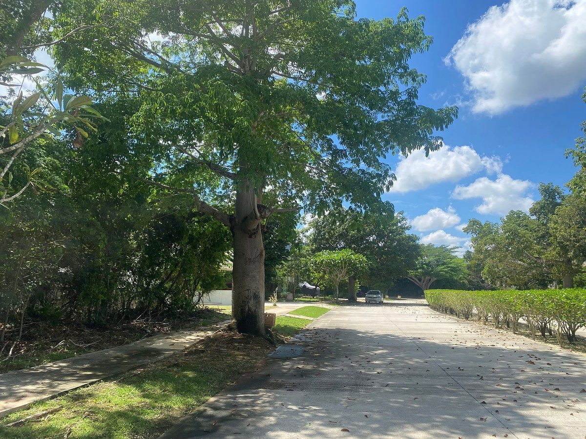 VENTA EXCELENTE TERRENO EN YUCATAN COUNTRY CLUB, foto 1 de 3