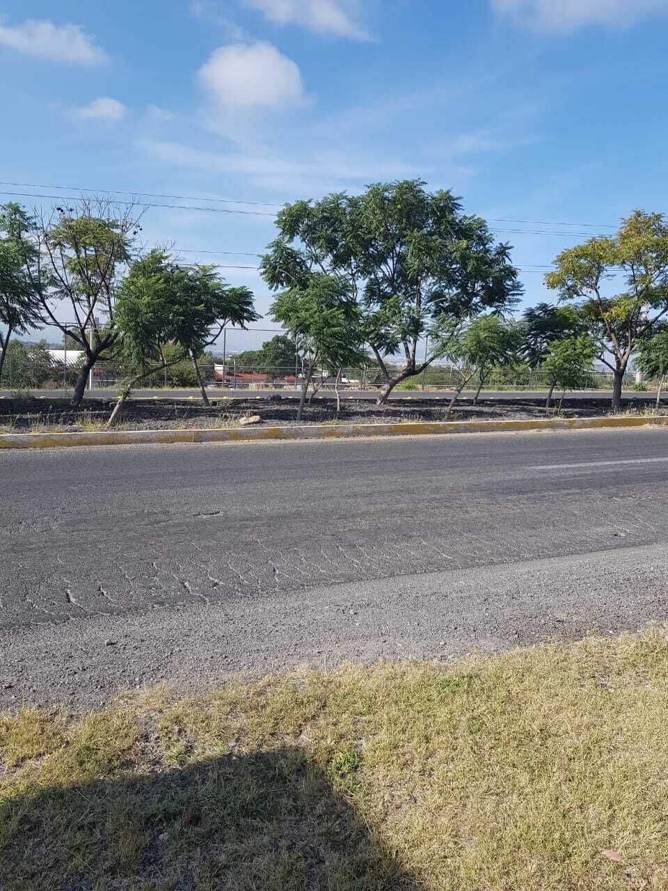 3 de 10