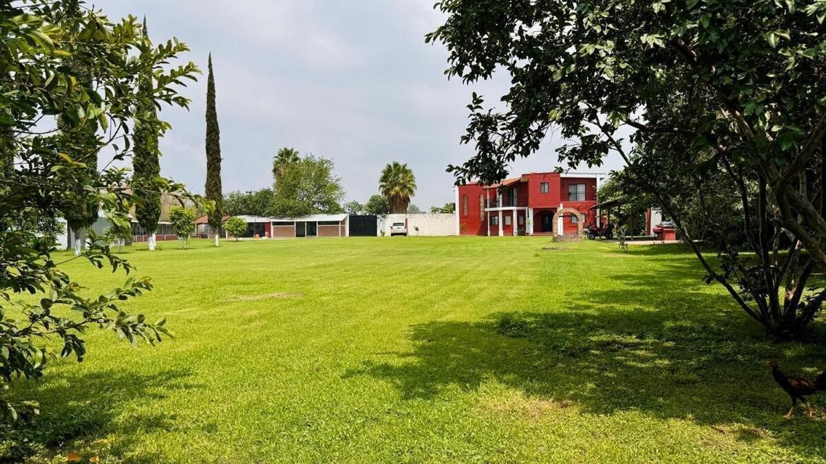 6 de 25