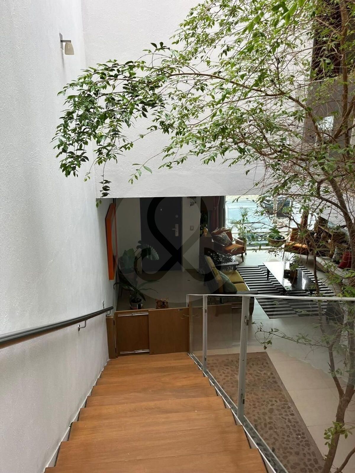 6 de 24