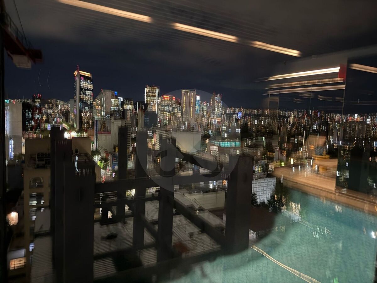 11 de 17