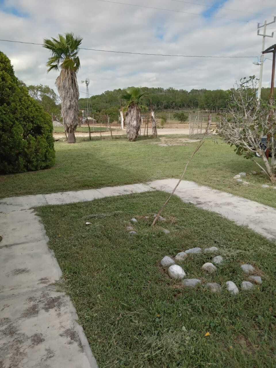 5 de 17
