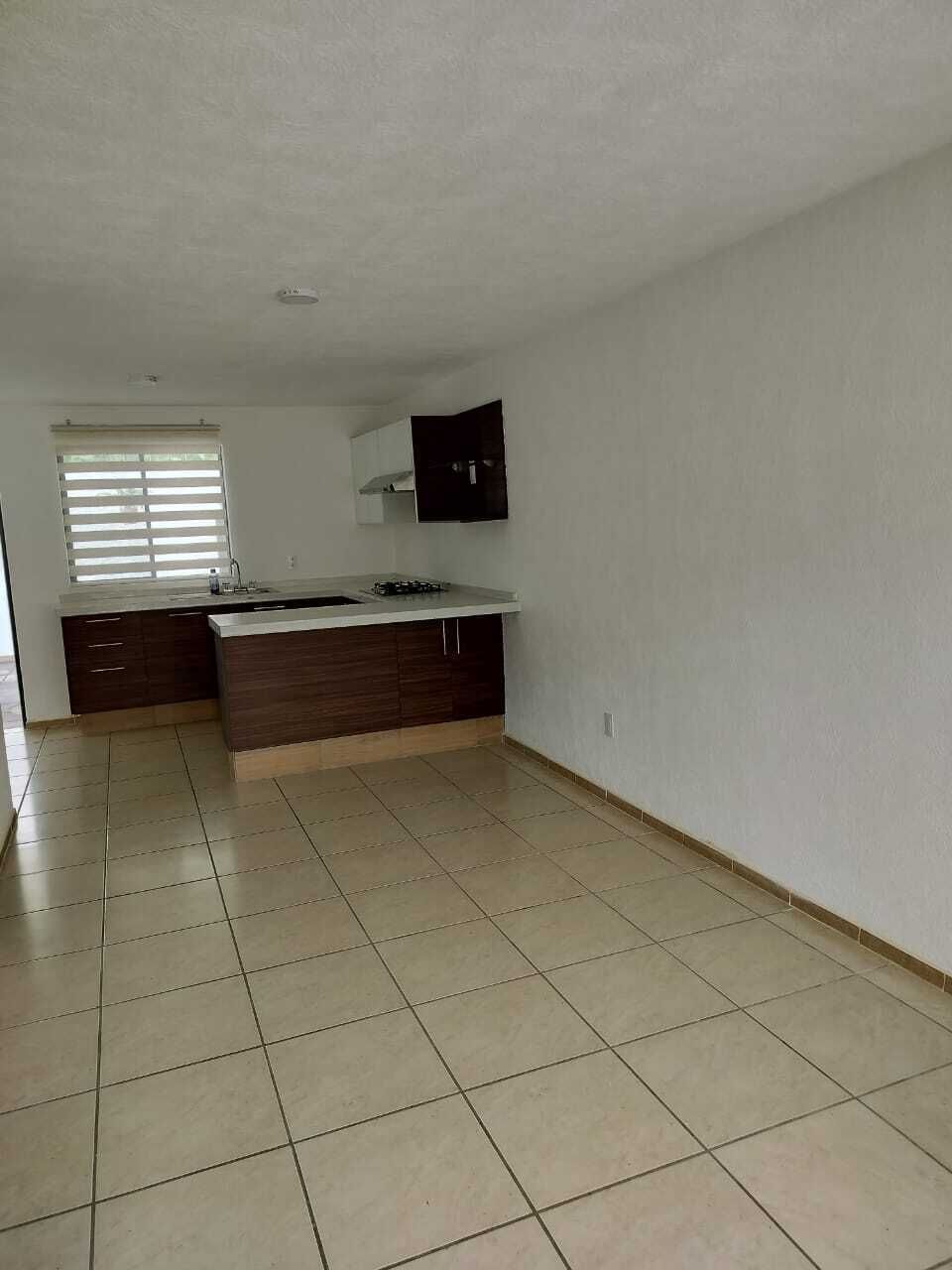1 de 24