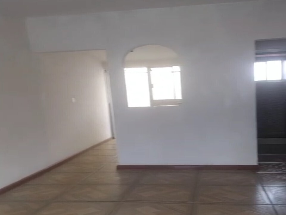3 de 11