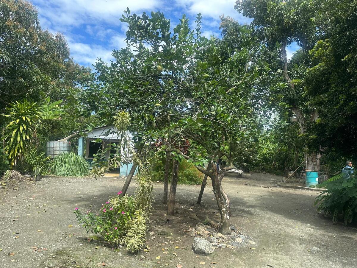 3 de 16