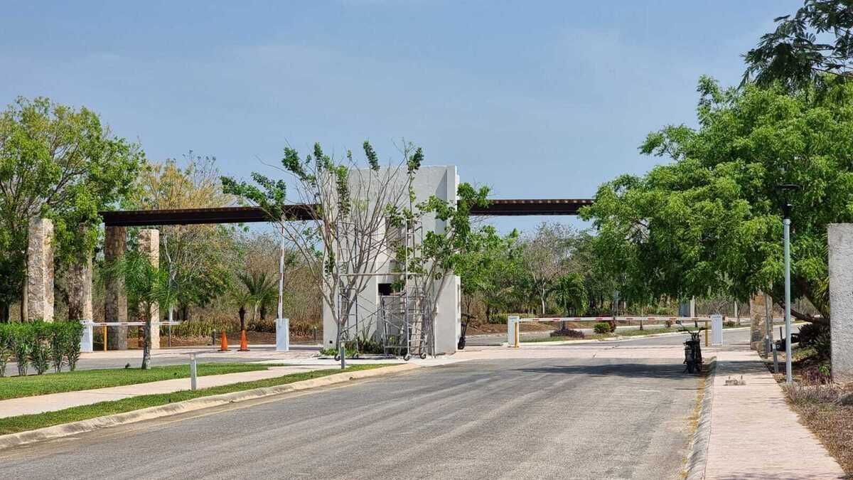 1 de 16