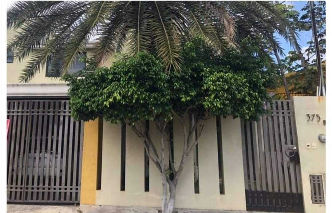 9 de 15