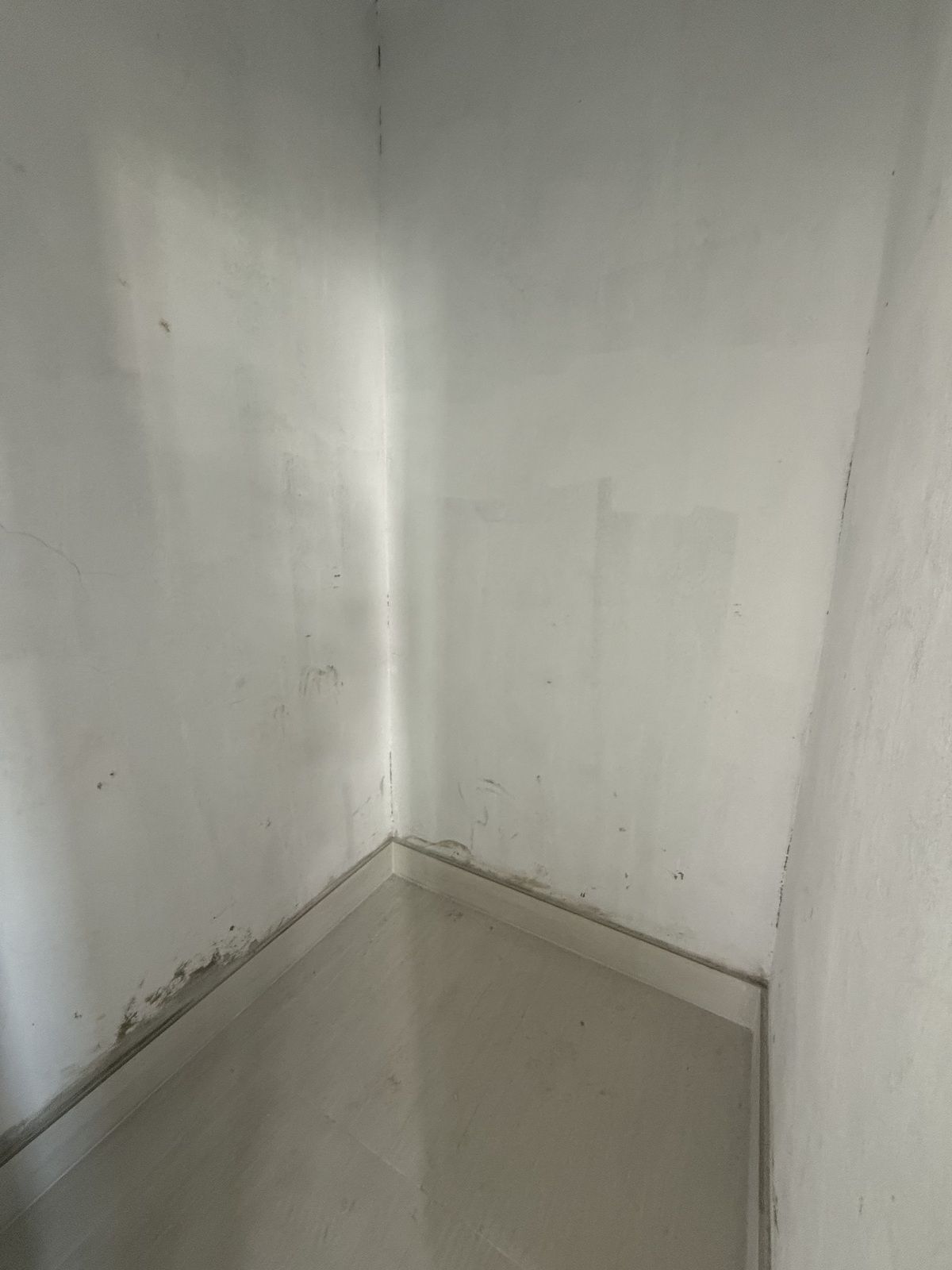 7 de 10