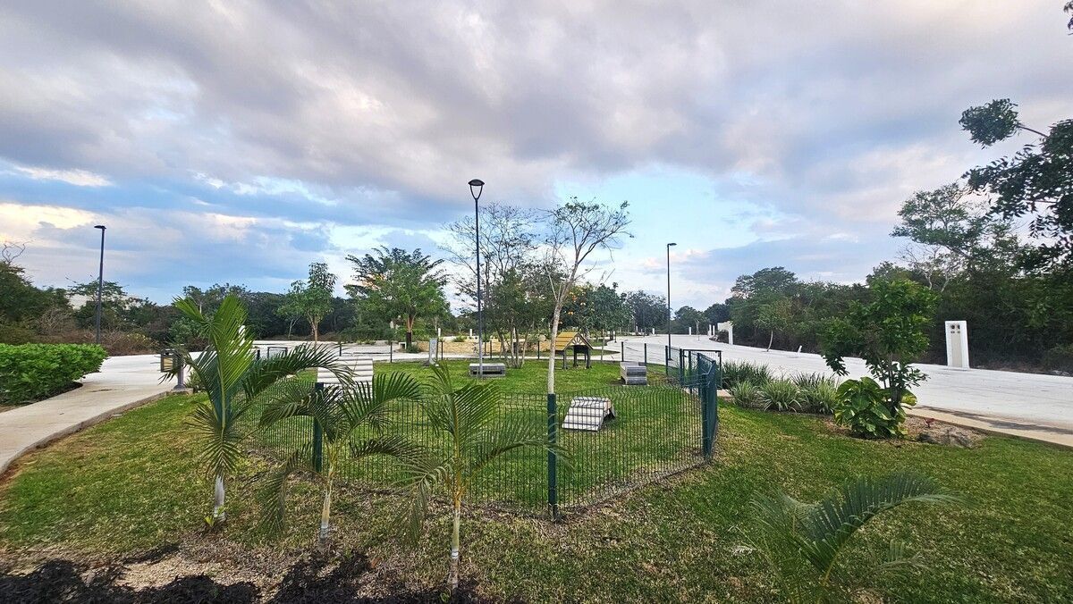 11 de 23
