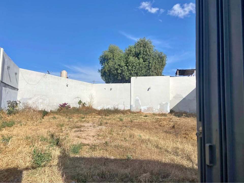 3 de 6