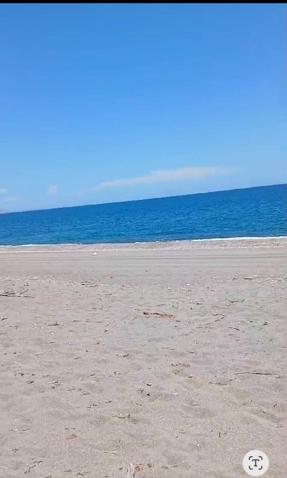 2 of 6
