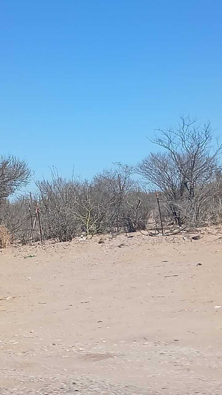 3 de 10