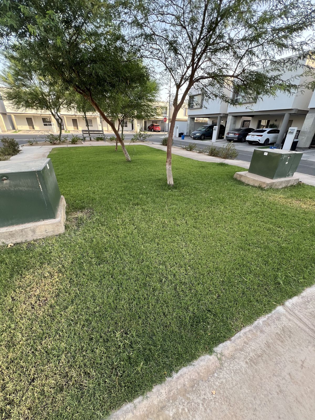 20 de 22: AREA VERDE FRENTE A CASA