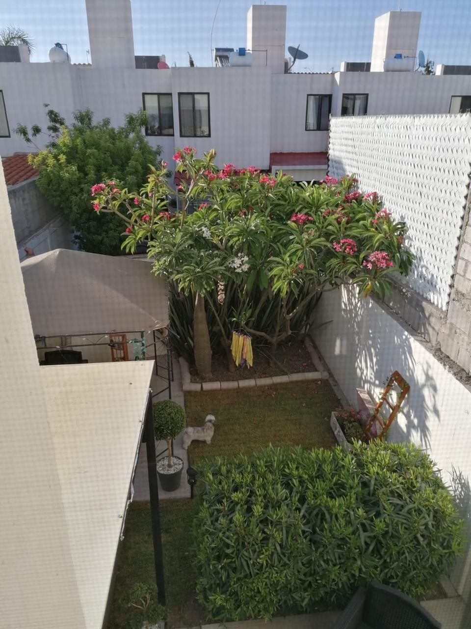 1 de 23