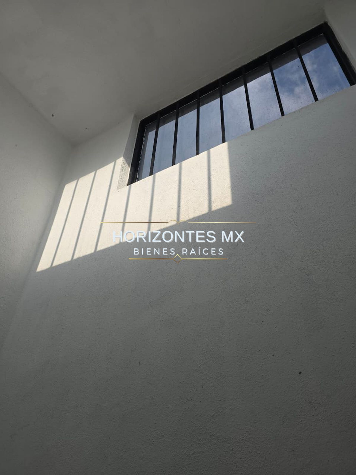 16 de 20