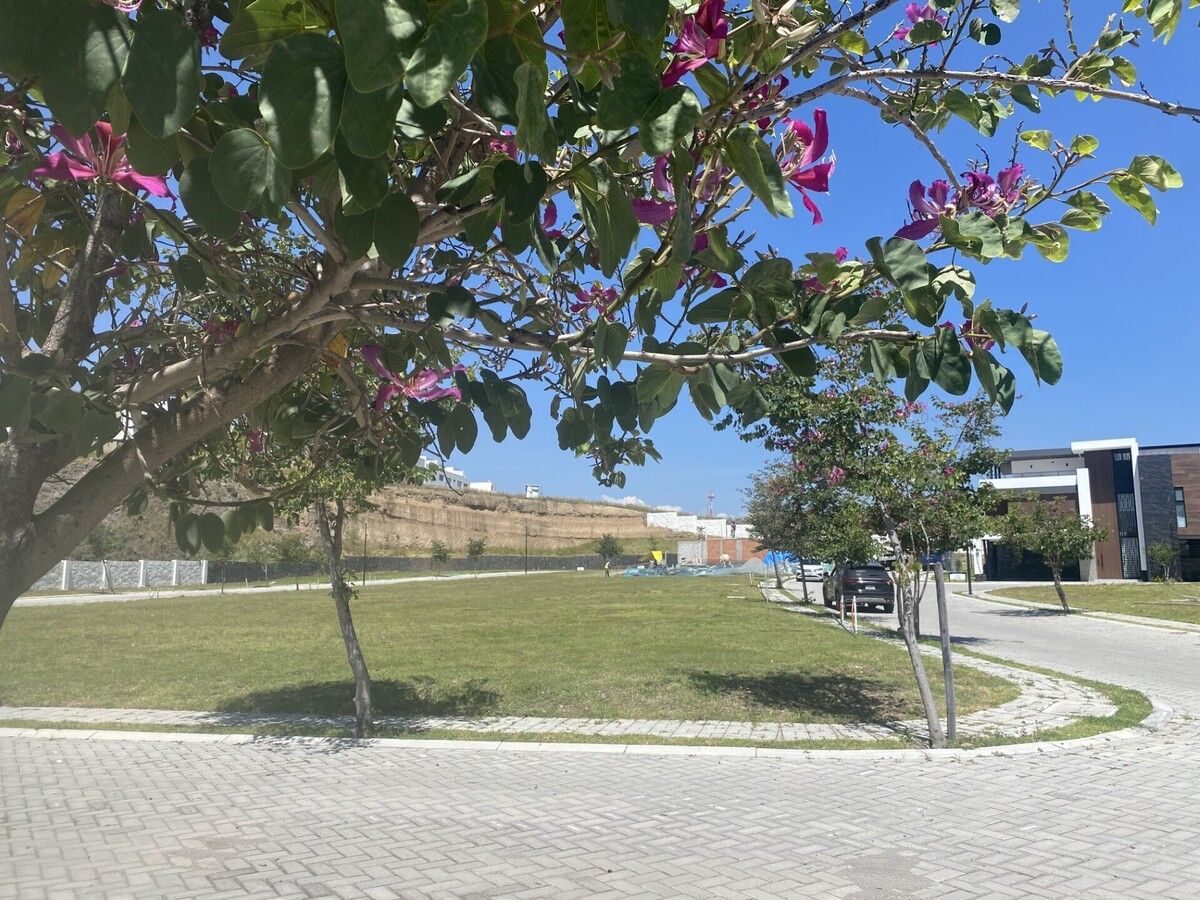 1 de 12