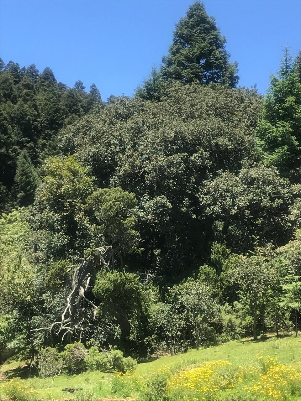 13 of 20
