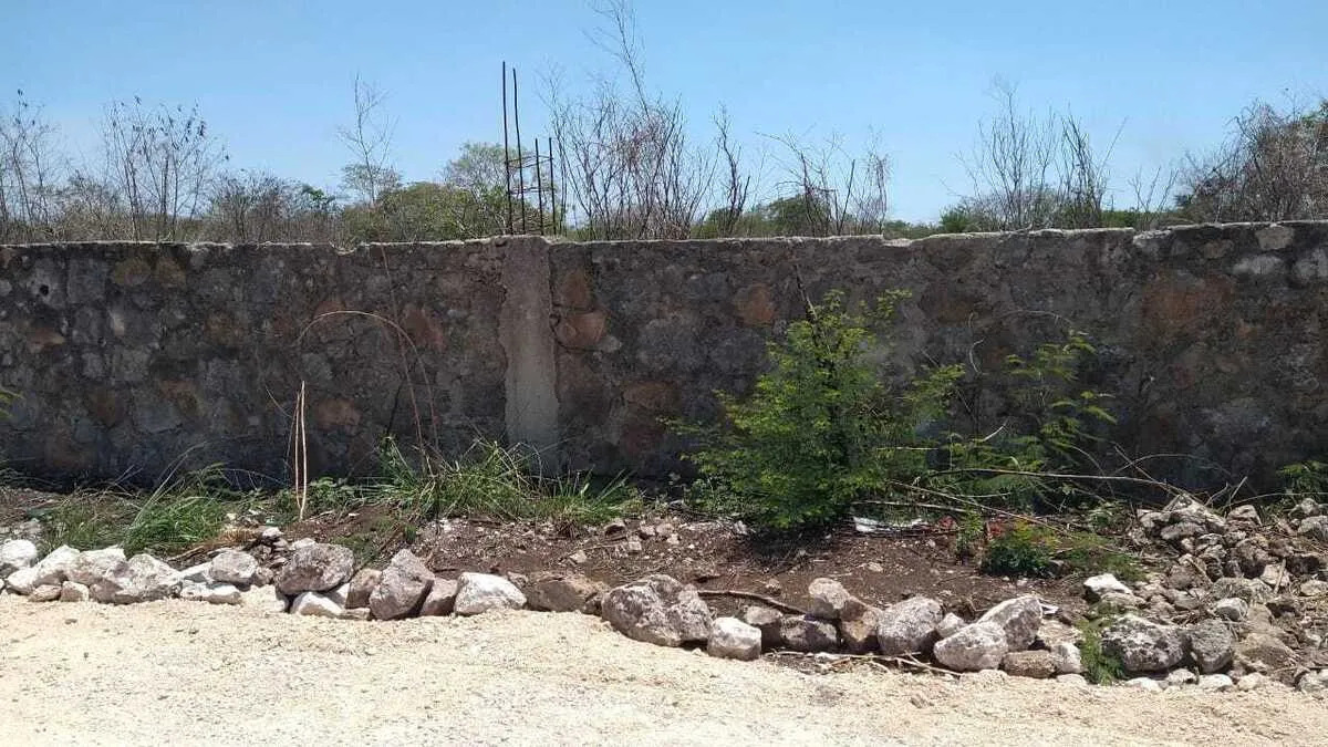 3 de 13
