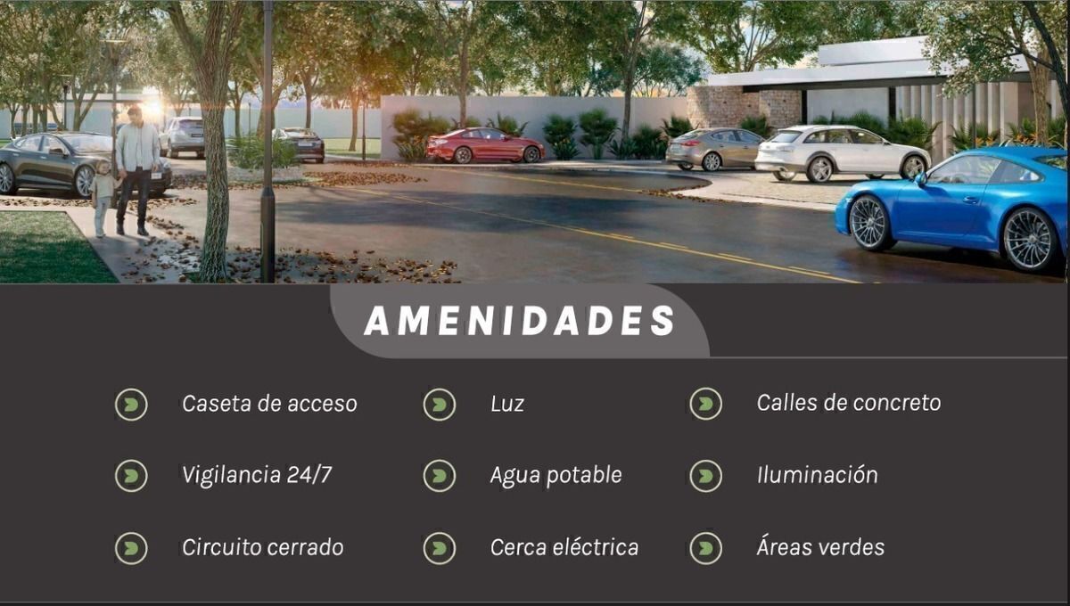 1 de 17