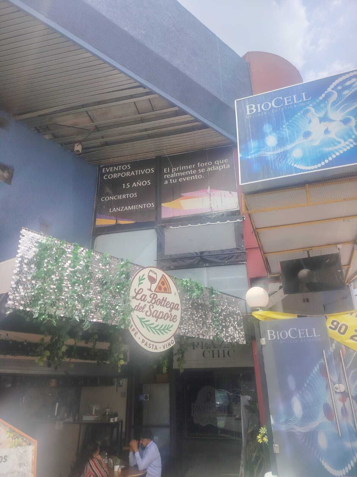 4 de 31