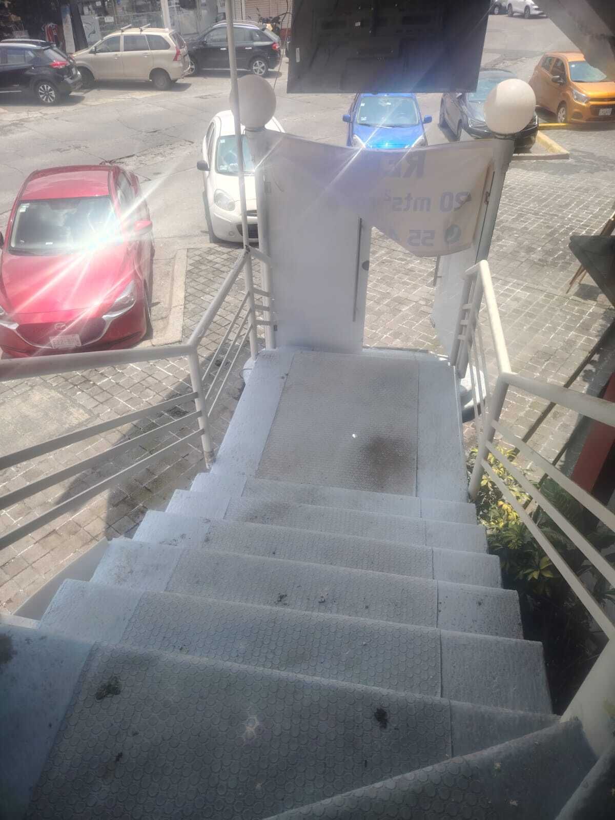 6 de 31