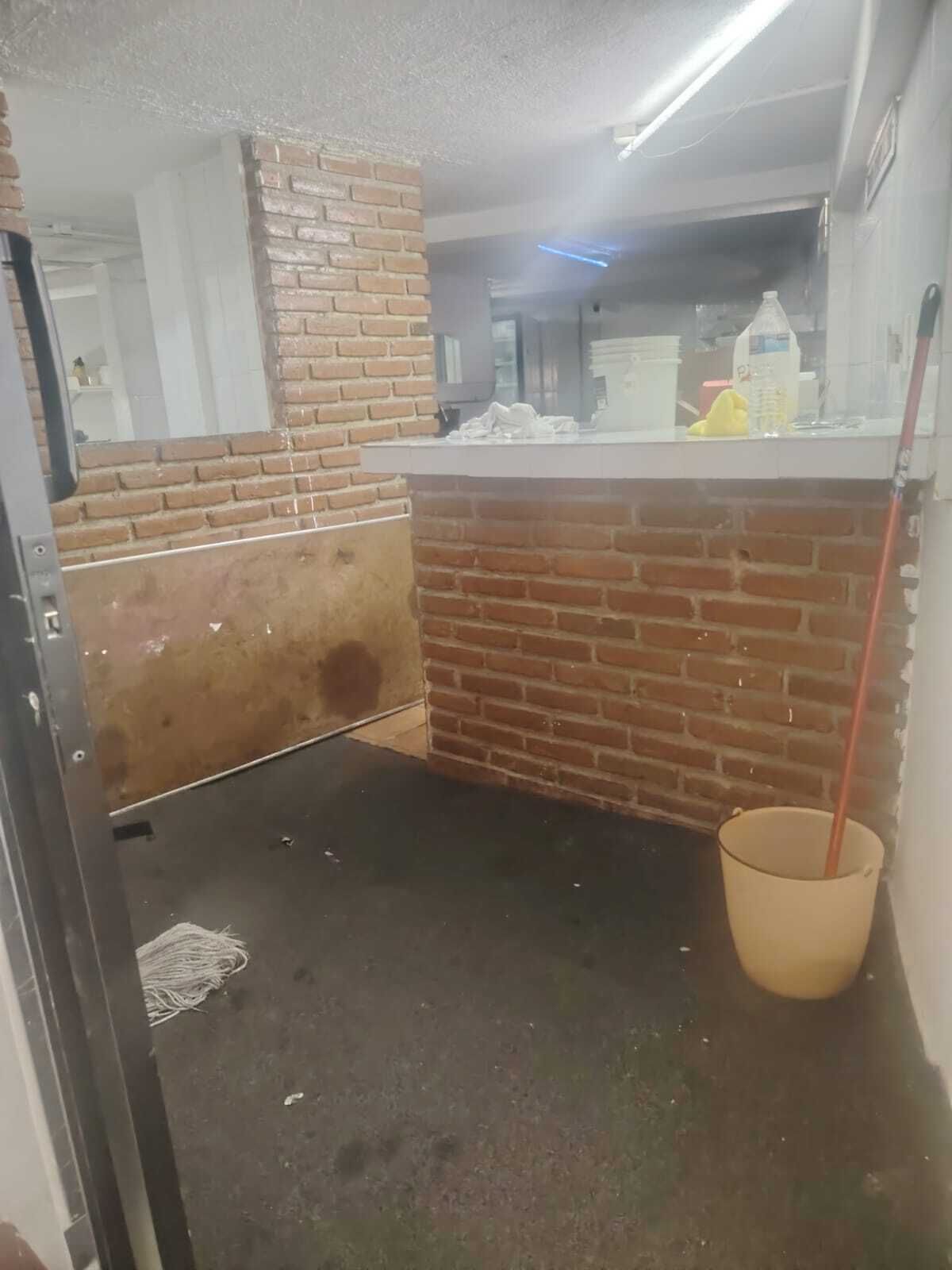 24 de 31