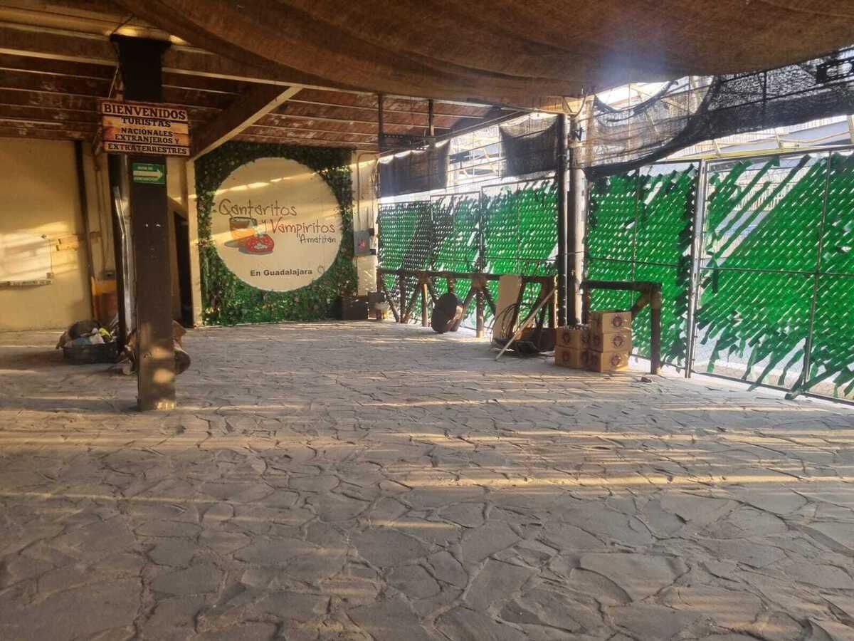 7 de 15