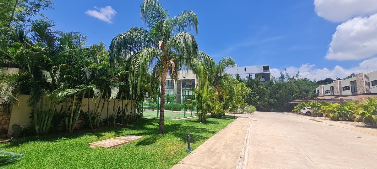 3 de 19