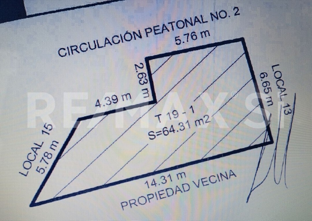 19 de 19