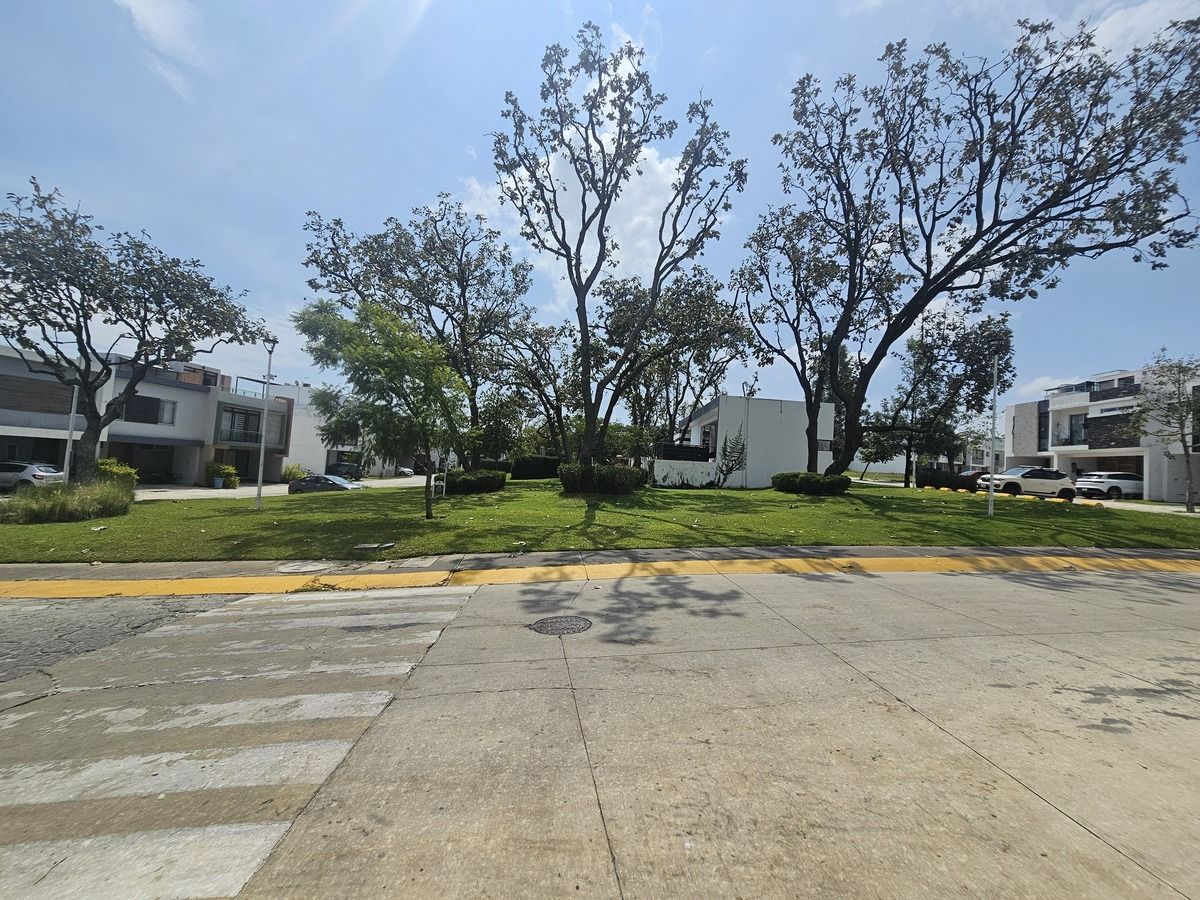 3 de 6