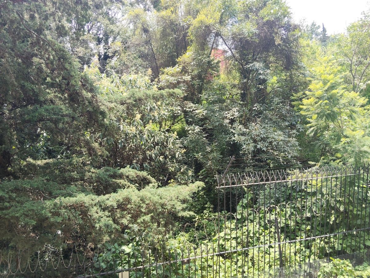 5 de 40: Vista balcon