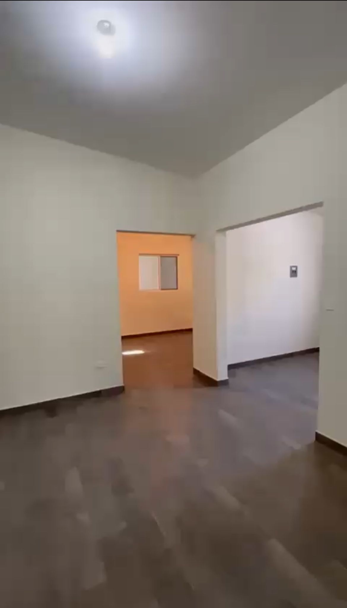 7 de 11