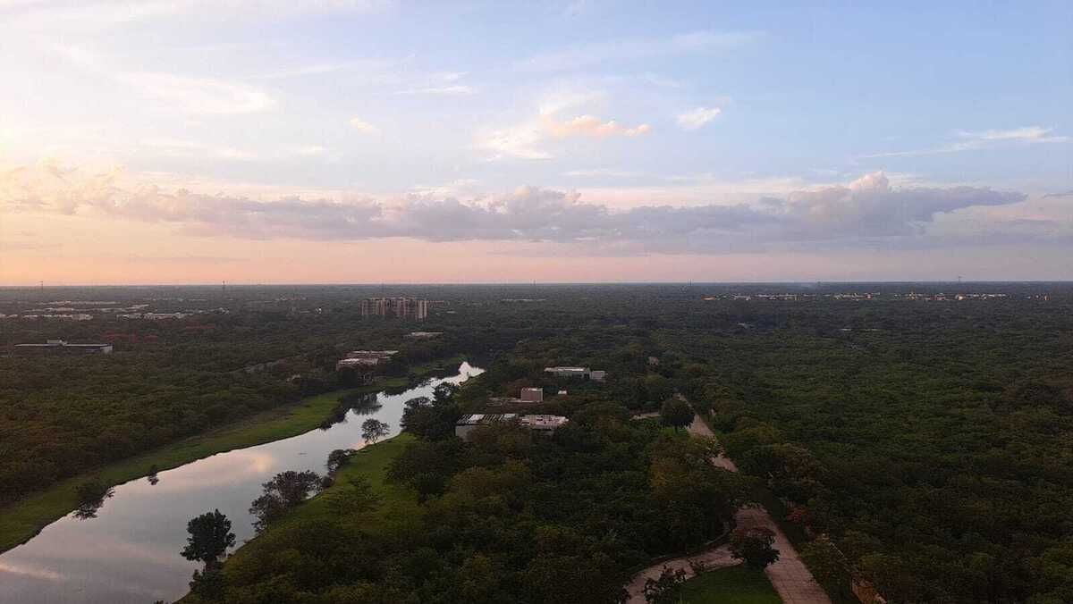 8 de 12