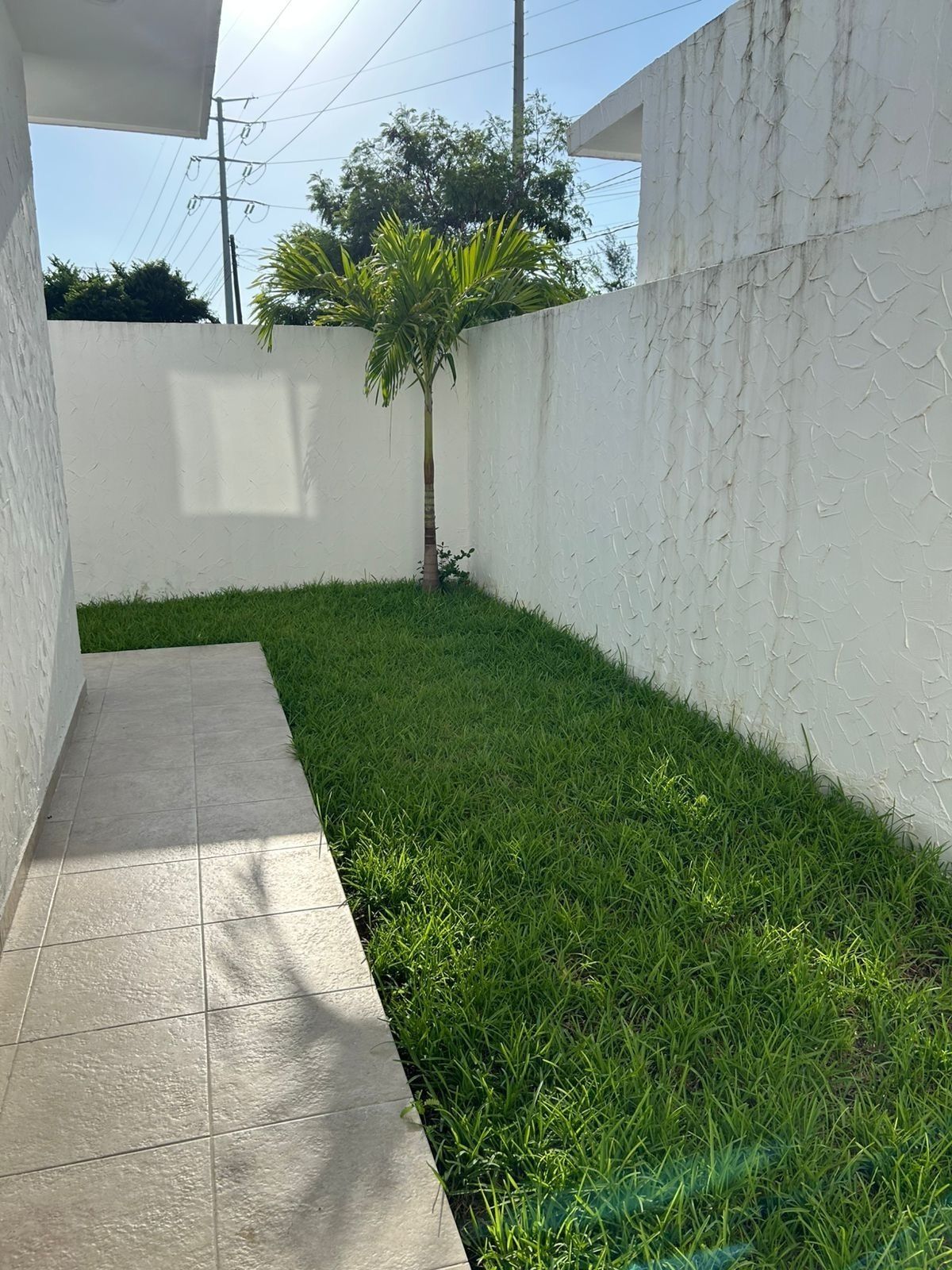 Jardín