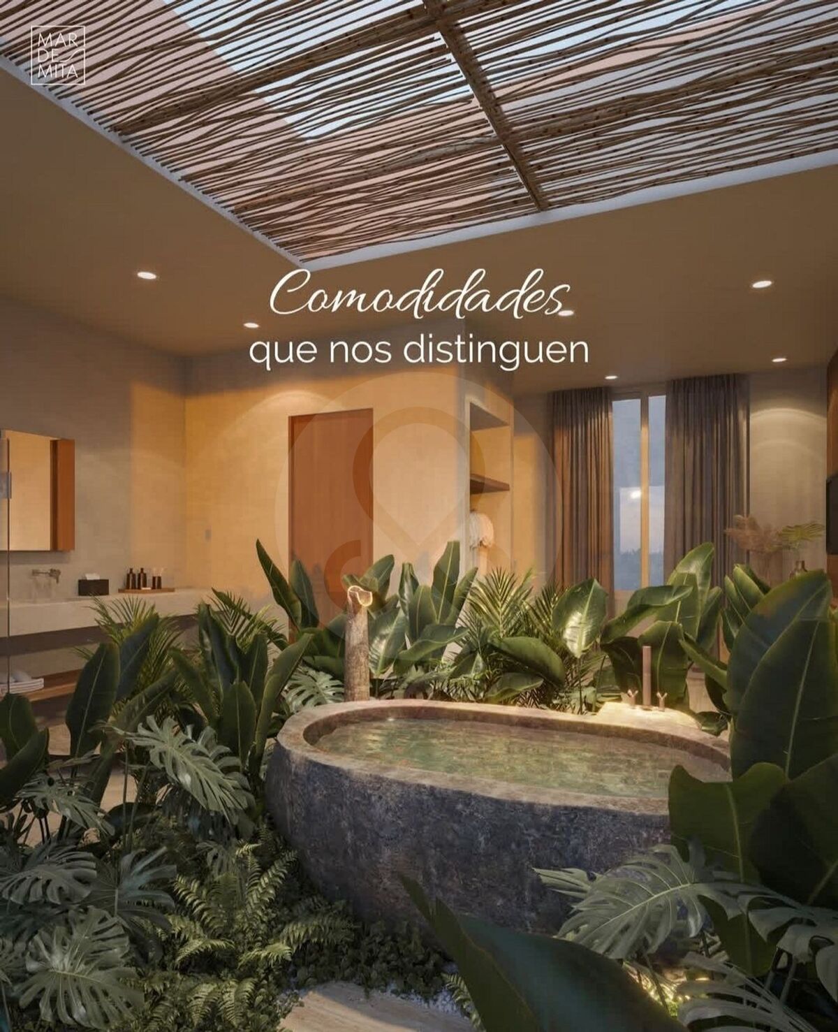 3 de 25