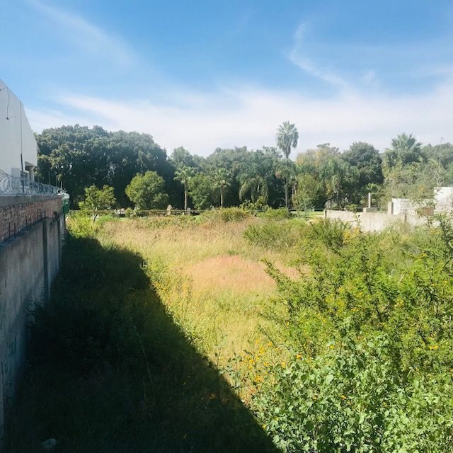 3 de 7