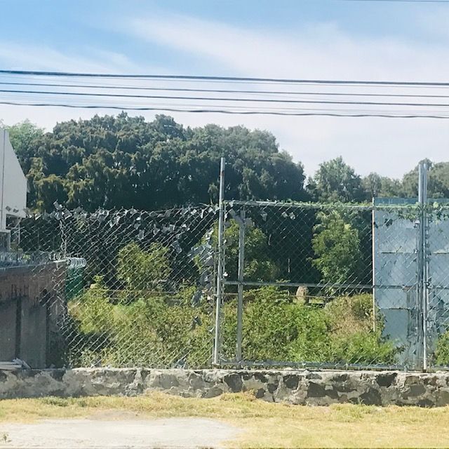 5 de 7