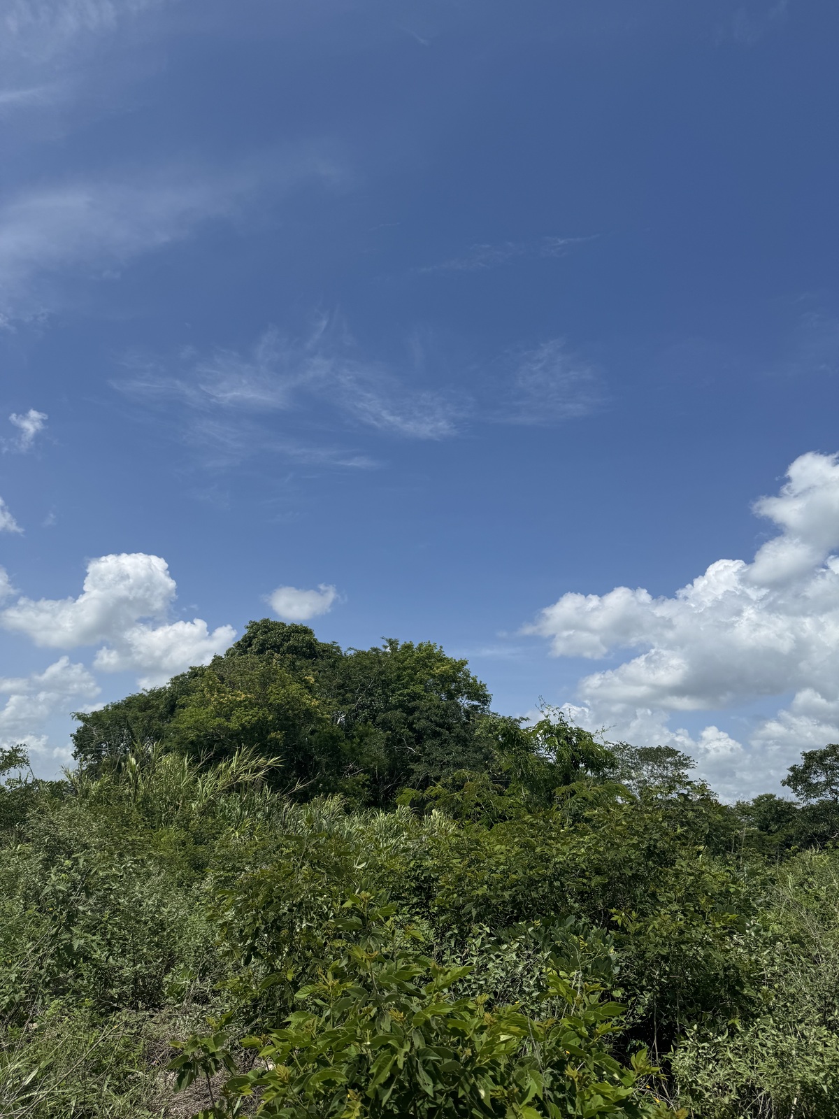 20 de 34