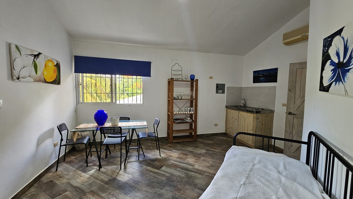 33 de 50: Apartamento Apartamento 1 -  Comedor y kitchenet