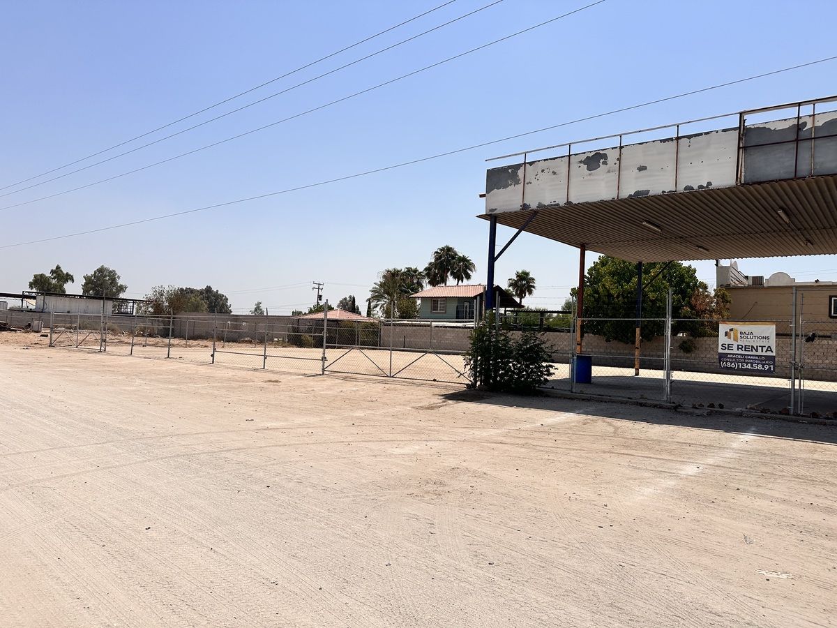 2 of 6: 1000 m2 terreno
