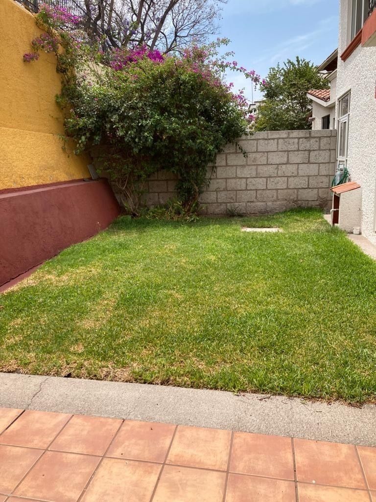 12 de 13